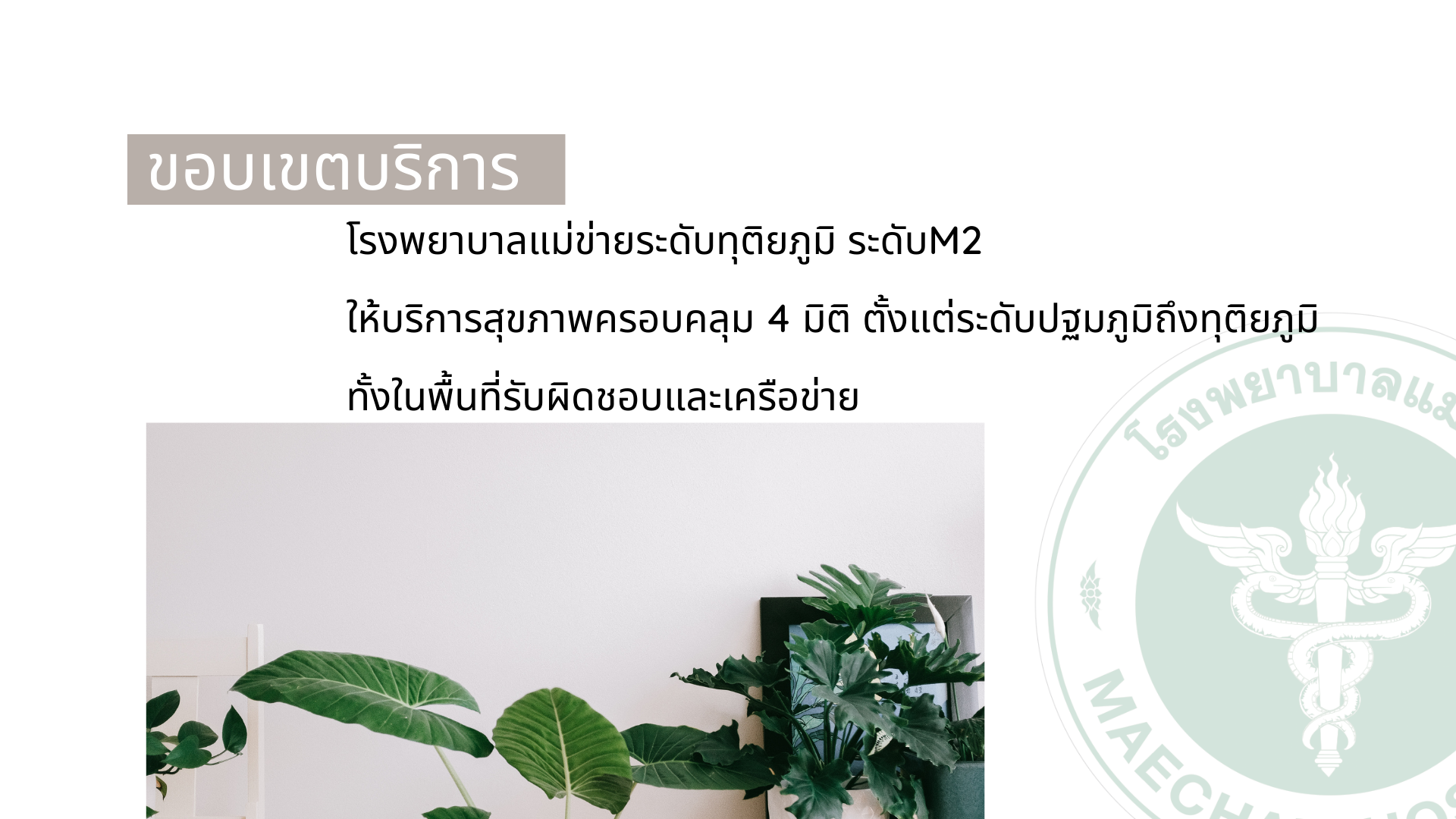 3ขอบเขต